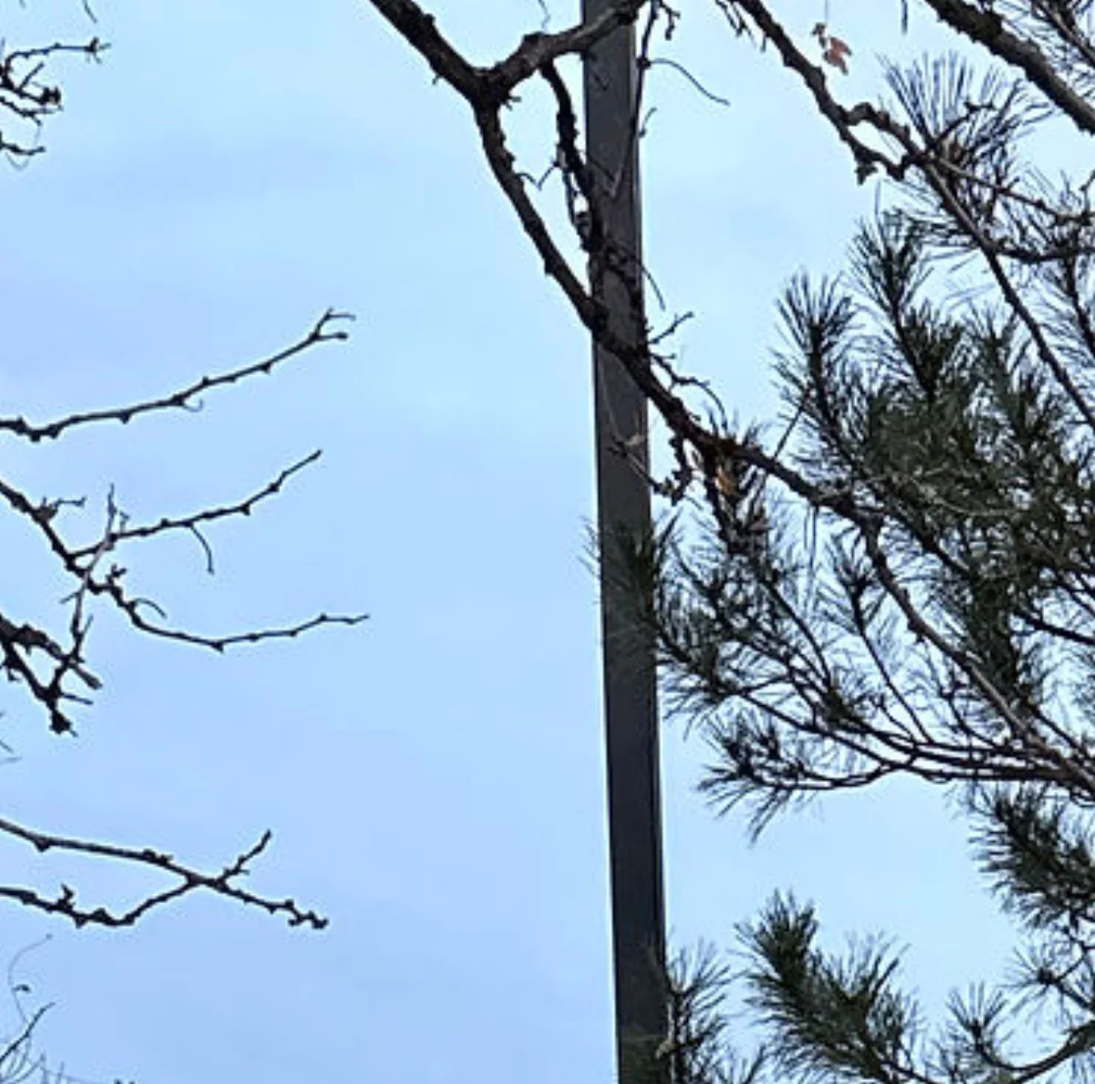 Electrical infrastructure and utility equipment on site